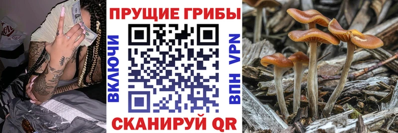 blacksprut tor  Воронеж  Галлюциногенные грибы MAGIC MUSHROOMS 