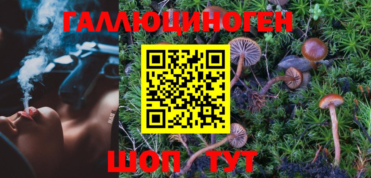 Галлюциногенные грибы Psilocybine cubensis  Вход с VPN  Воронеж 