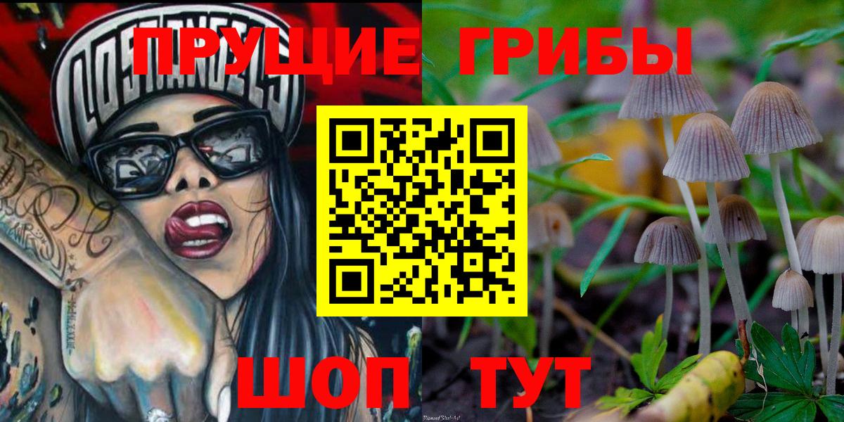 Галлюциногенные грибы Psilocybe  Воронеж 