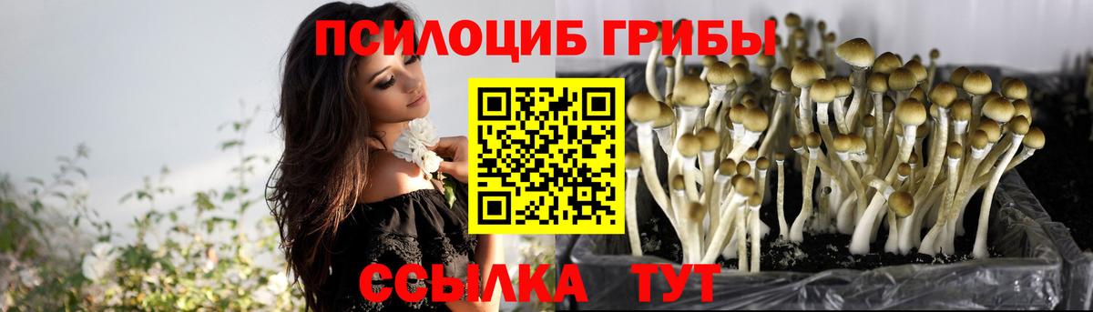 Псилоцибиновые грибы GOLDEN TEACHER Воронеж