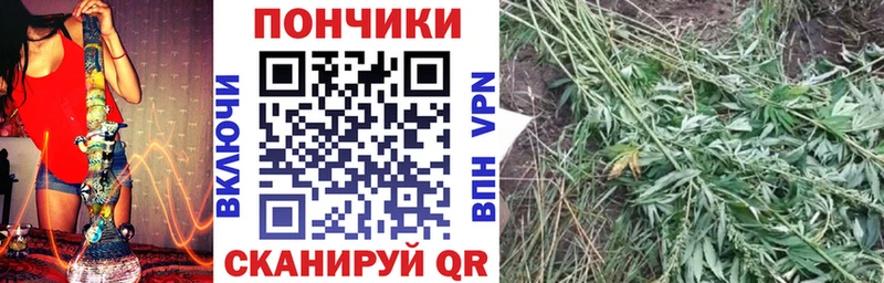 мега маркетплейс  купить  сайты  Воронеж  Каннабис сатива 